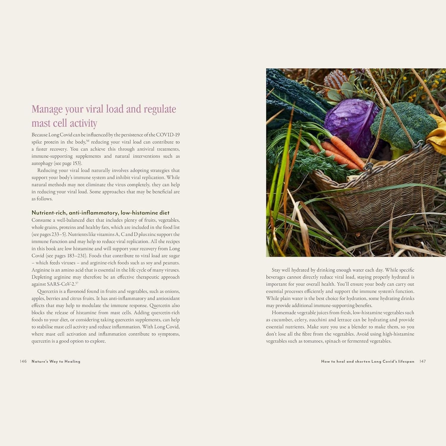 Supercharged Food Nature's Way To Healing: A Long Covid Guide by Lee Holmes