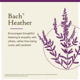 Bach Flower Remedies Heather 20ml