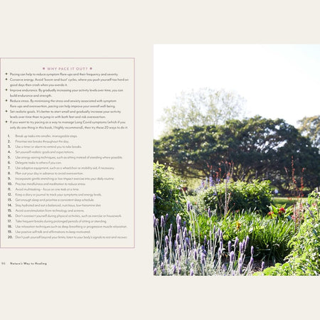 Supercharged Food Nature's Way To Healing: A Long Covid Guide by Lee Holmes