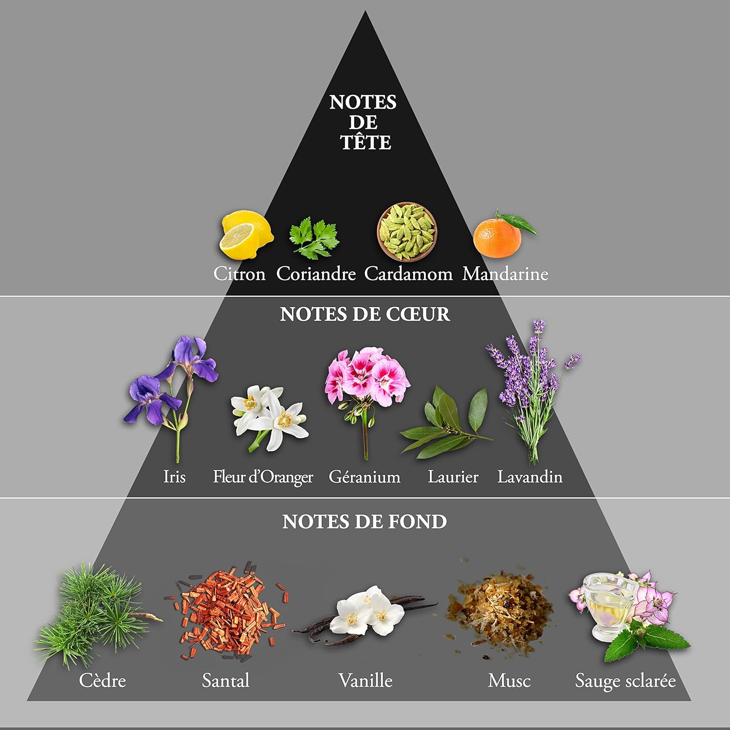 Whisky Black Men EDT 100ml