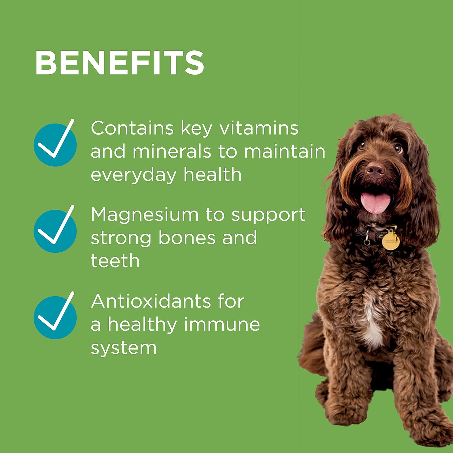 PAW By Blackmores Wellness + Vitality For Dogs approx 60 chews 300g