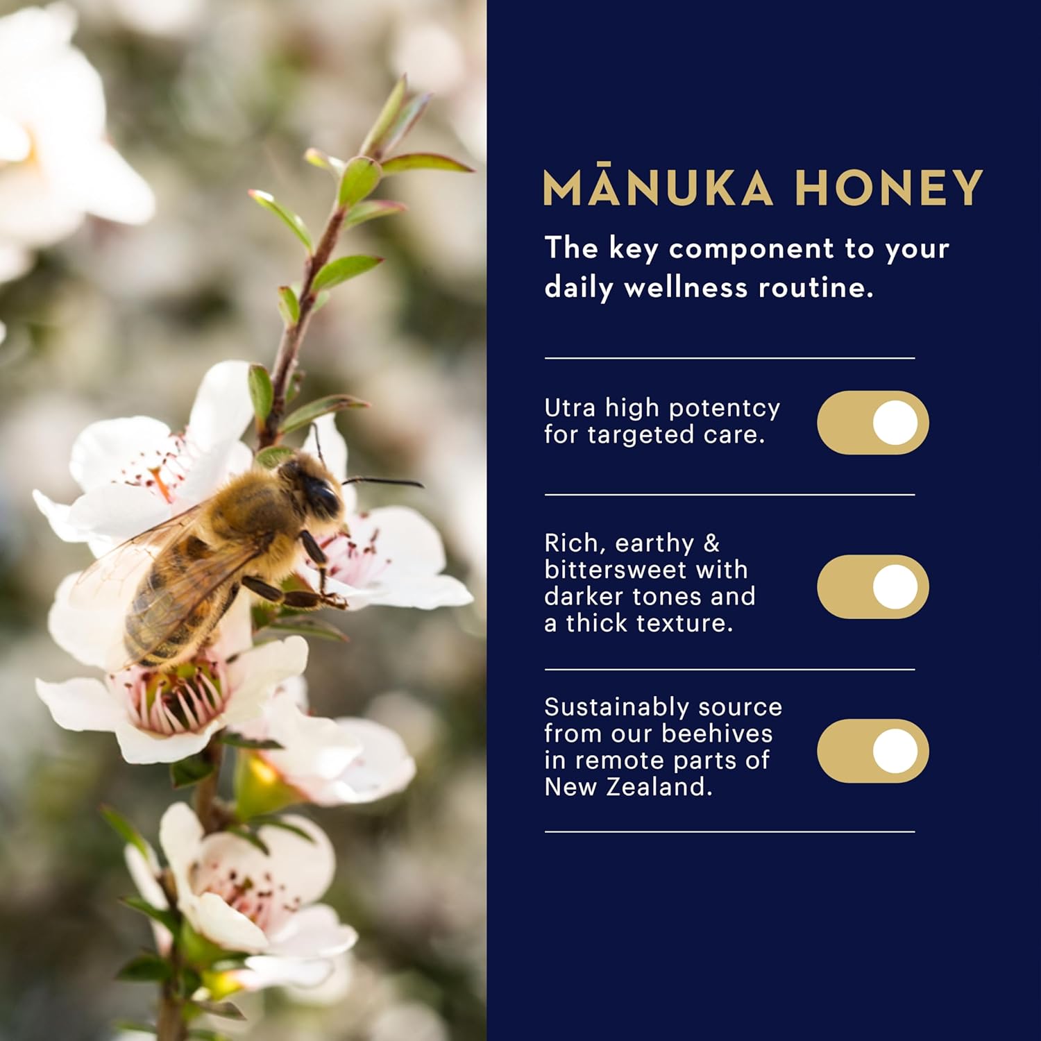 Manuka Health Manuka Honey Lip Balm 4.5g
