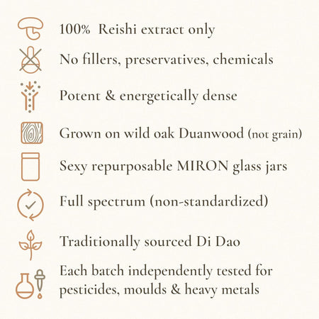 Superfeast Reishi 100g