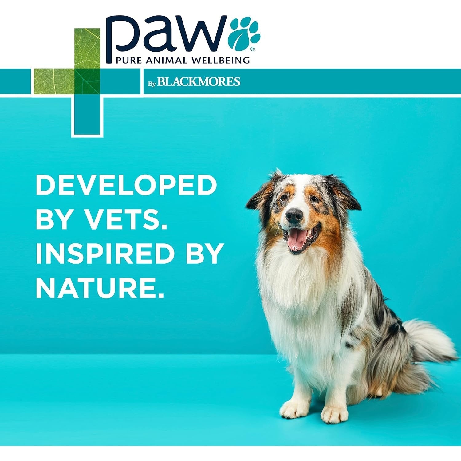 PAW By Blackmores Wellness + Vitality For Dogs approx 60 chews 300g