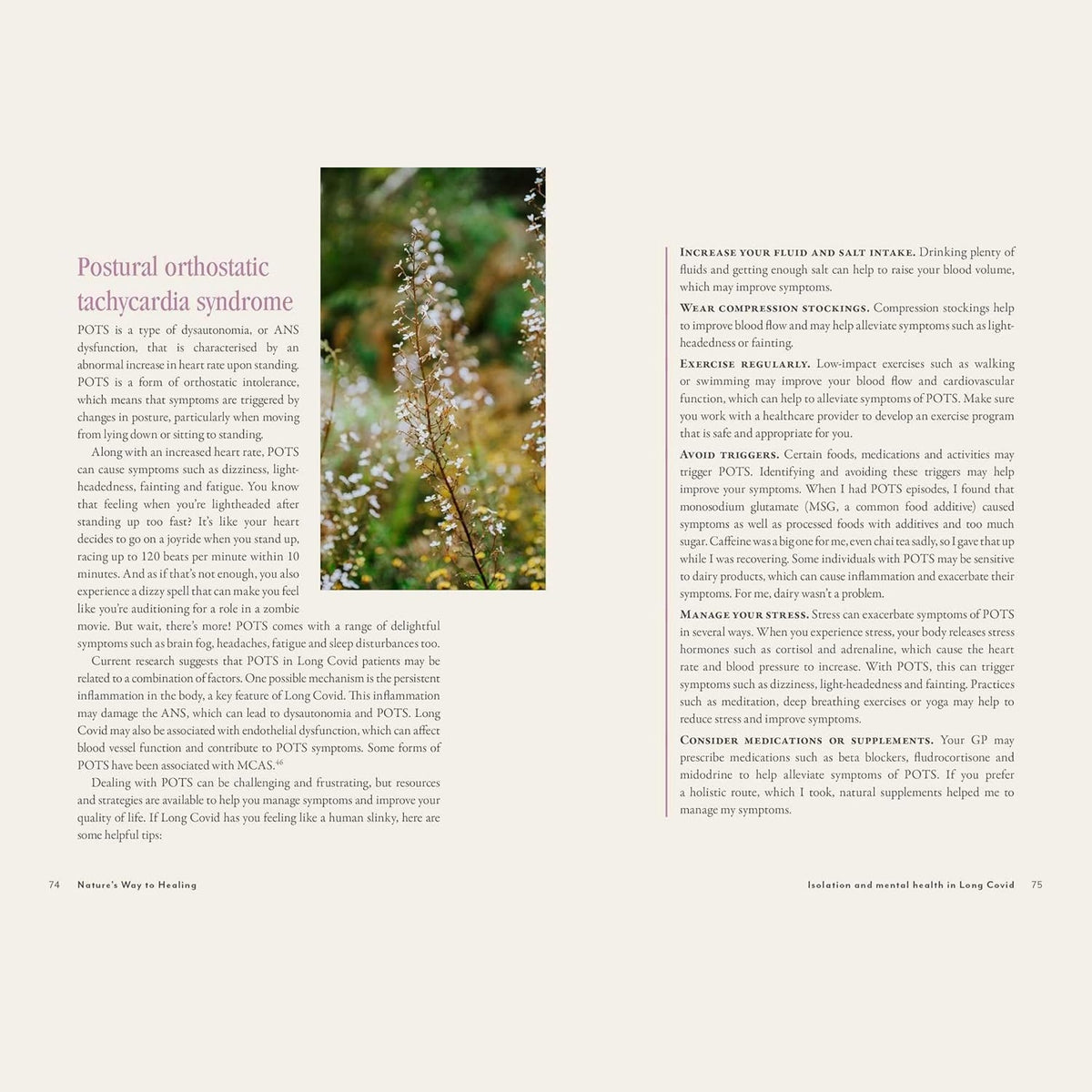 Supercharged Food Nature's Way To Healing: A Long Covid Guide by Lee Holmes