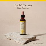 Bach Flower Remedies Cerato 20ml