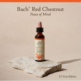 Bach Flower Remedies Red Chestnut 20ml