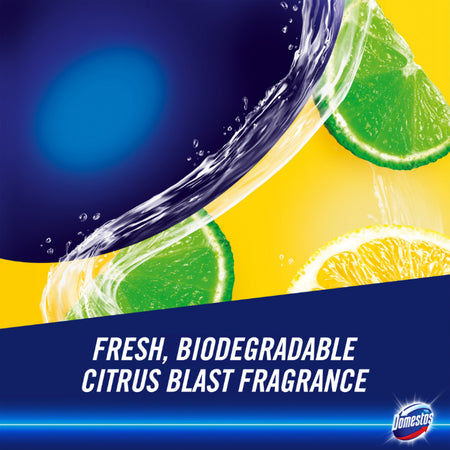 Domestos Upside Down Spray Power Foam Citrus Blast 450ml