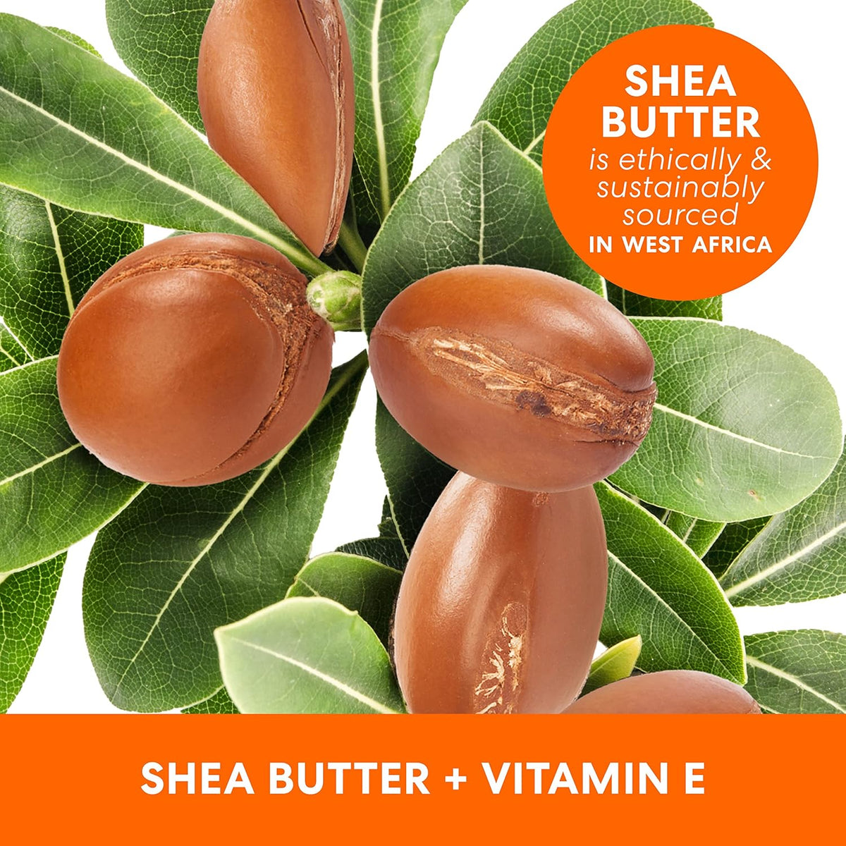 Palmers Shea Butter Body Oil 250ml