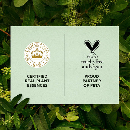 Herbal Essences Bio:renew Naked Volume White Grapefruit & Mosa Mint Shampoo 400ml