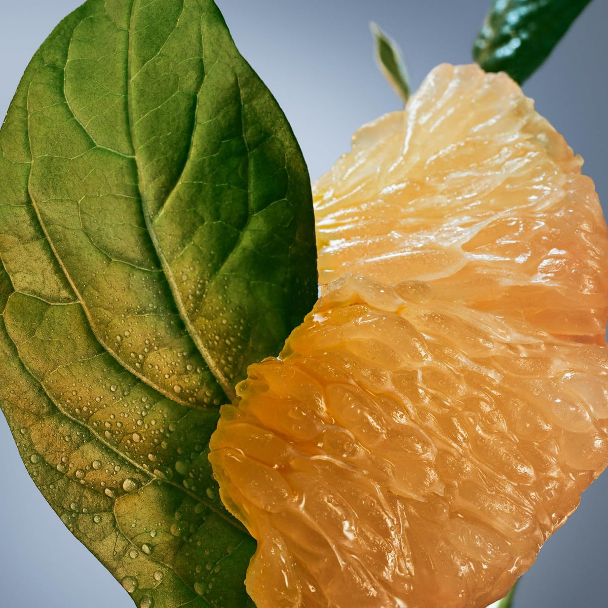 Hugo Boss Bottled Infinite Edp 100ml