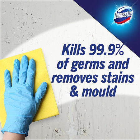 Domestos Disinfectant Bleach Mountain Fresh 1.25l