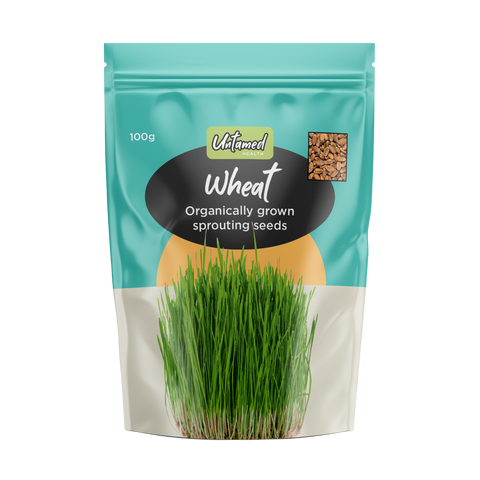 Untamed Health Wheat Sprouting Seeds 100g