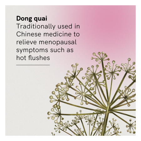 Fusion Health Menopause Heat Relief 120vc