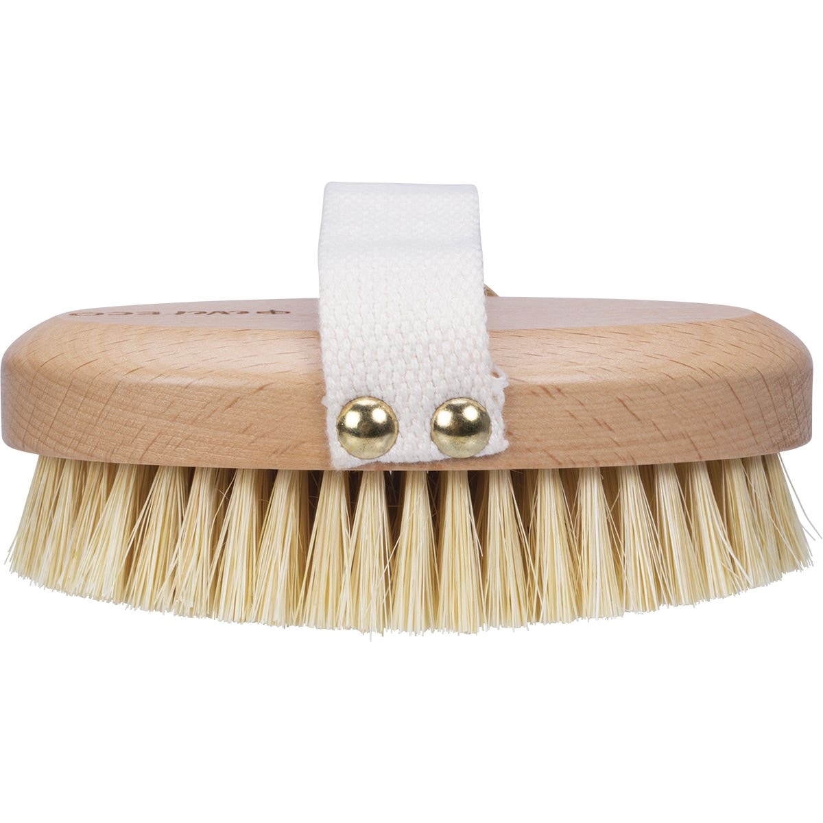EVER ECO Dry Body Brush Beech Wood Handle, Sisal Bristles