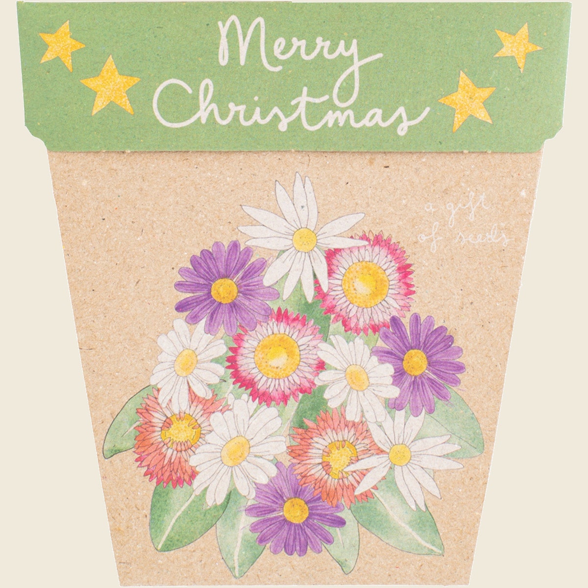 Sow 'n Sow Gift of Seeds Christmas Native Daisies