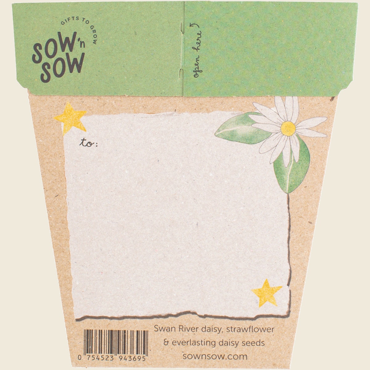 Sow 'n Sow Gift of Seeds Christmas Native Daisies