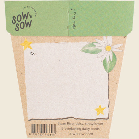 Sow 'n Sow Gift of Seeds Christmas Native Daisies