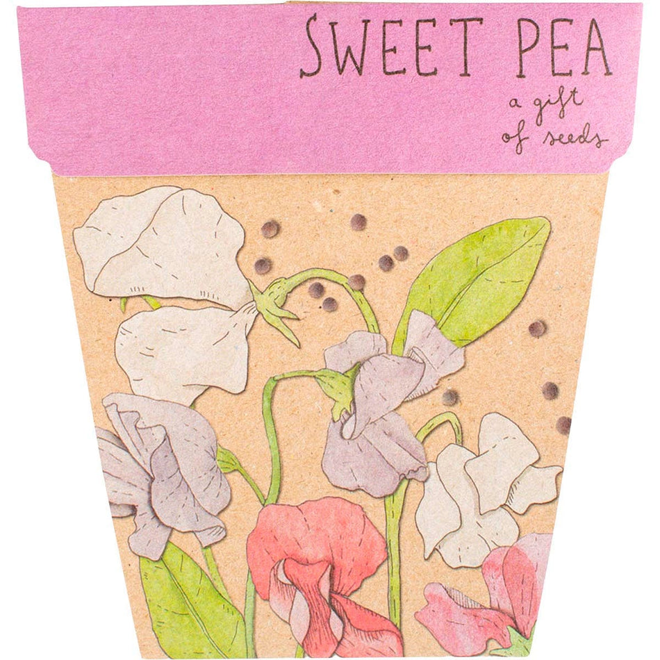 SOW 'N SOW Gift Of Seeds Sweet Pea 1