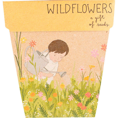 SOW 'N SOW Gift Of Seeds Wildflowers 1