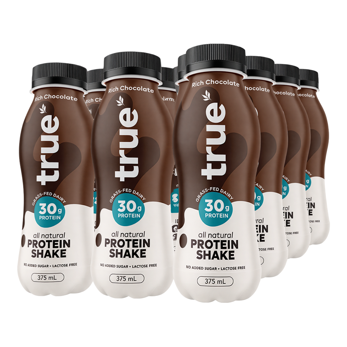True Protein Rich Chocolate All Natural Protein Shake 375ml x 12 Pack