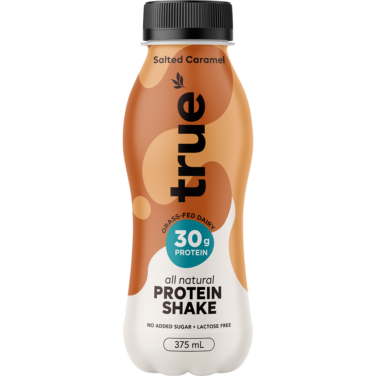 True Protein Salted Caramel All Natural Protein Shake 375ml x 12 Pack