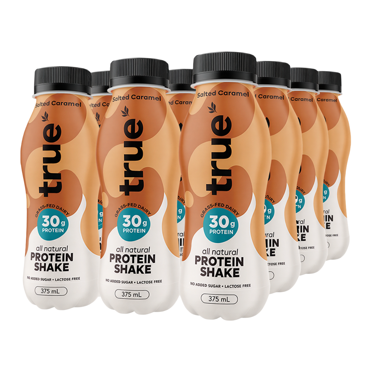 True Protein Salted Caramel All Natural Protein Shake 375ml x 12 Pack