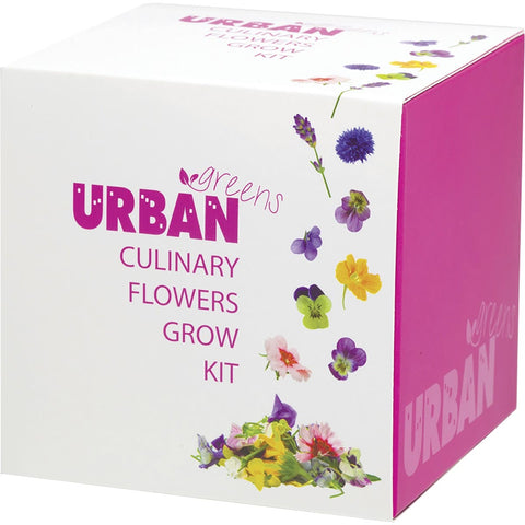 URBAN GREENS Grow Kit Culinary Flowers - 10x10cm 1