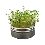 Untamed Health Mini Tini Microgreens Grow Kit Broccoli