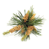 Bach Flower Remedies Pine 20ml