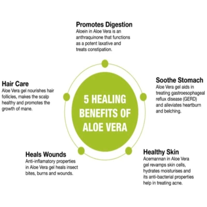 Aloe Vera Pure Inner Leaf Gel Tube 98% 100ml