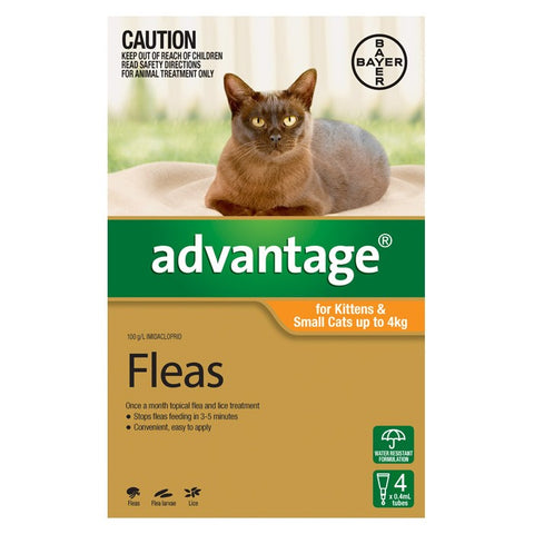 Advantage For Kittens & Small Cats (Up To 4kg) - 6 Pack