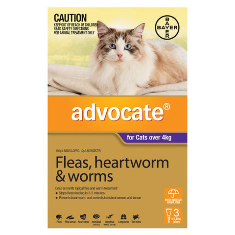 Advocate for Large Cats (Over 4kg) - 3 Pack
