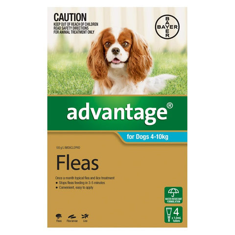 Advantage For Medium Dogs (4-10kg) - 4 Pack
