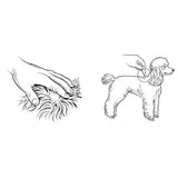 Advocate for Medium Dogs (4-10kg) - 3 Pack