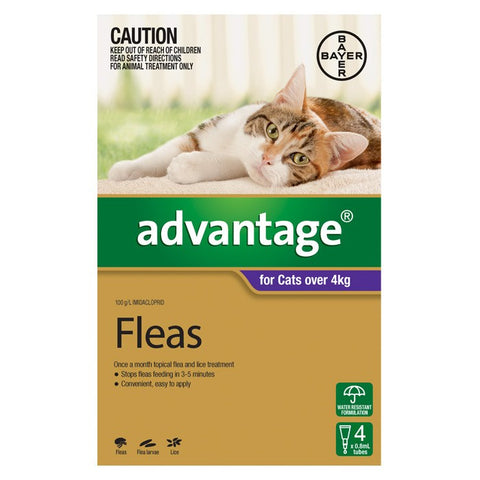 Advantage for Large Cats (Over 4kg) - 4 Pack