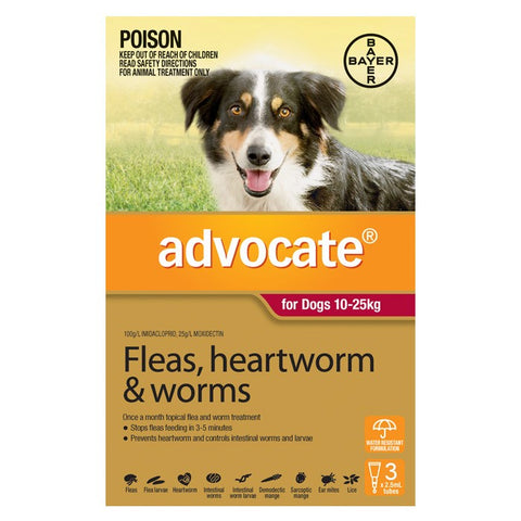 Advocate For Large Dogs (10-25kg) - 3 Pack