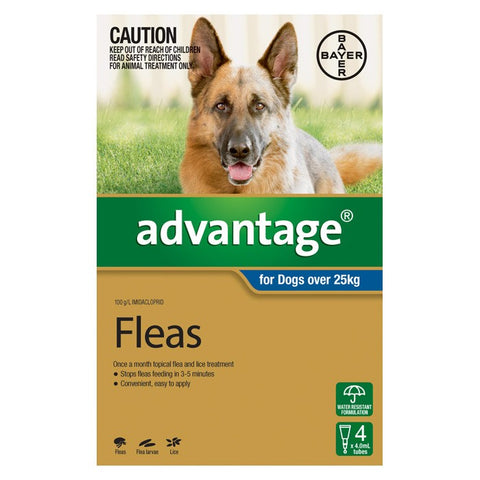 Advantage For Extra Large Dogs (Over 25kg) - 4 Pack