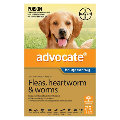 Advocate For Extra Large Dogs (Over 25kg) - 6 Pack