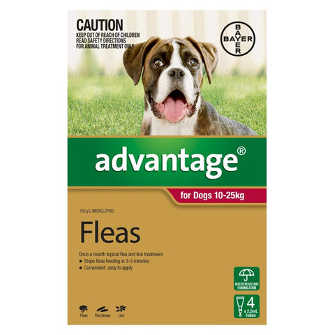 Advantage For Large Dogs (10-25kg) - 6 Pack