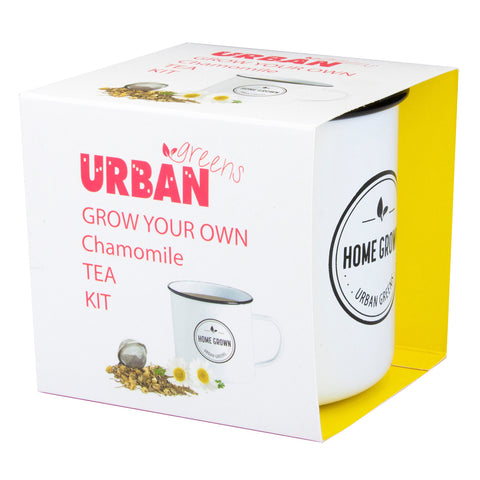 URBAN GREENS Grow Your Own Tea Kit Chamomile 1