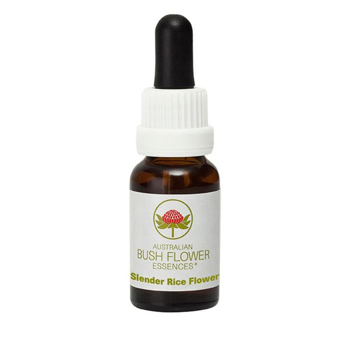 Buy Australian Bush Flower Essences Slender Rice Flower 15ml Online at ...