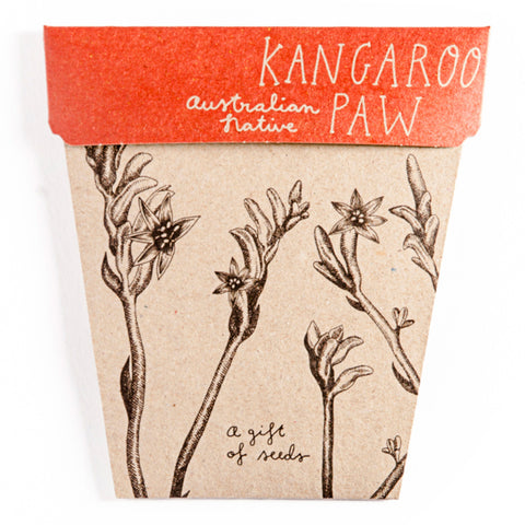 SOW 'N SOW Gift Of Seeds Kangaroo Paw 1