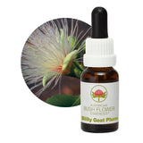 Australian Bush Flower Essences Billy Goat Plum 15ml