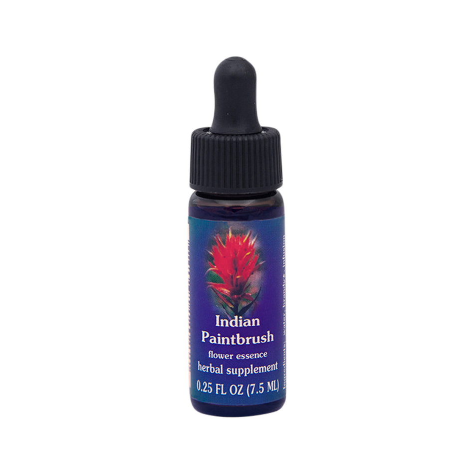 FES Organic Quintessentials Flower Essence Indian Paintbrush 7.5ml