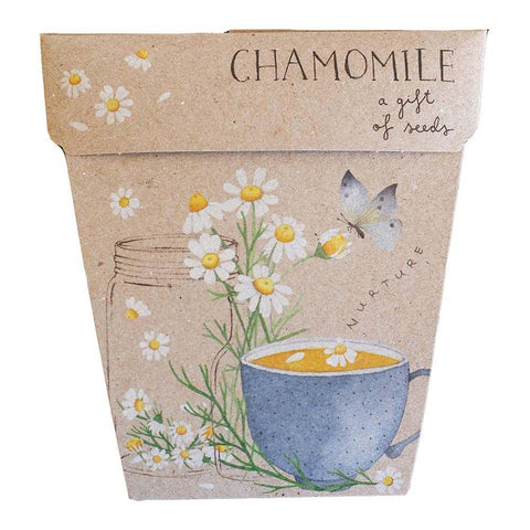SOW 'N SOW Gift Of Seeds Chamomile 1