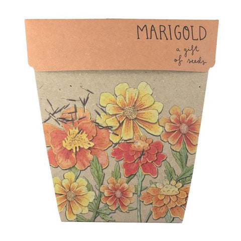 SOW 'N SOW Gift Of Seeds Marigolds 1