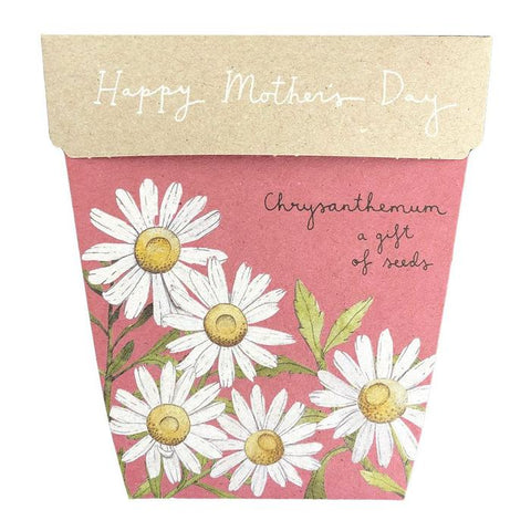 SOW 'N SOW Gift Of Seeds Mother's Day Chrysanthemum 1