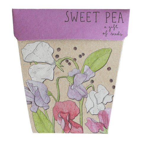 SOW 'N SOW Gift Of Seeds Sweet Pea 1