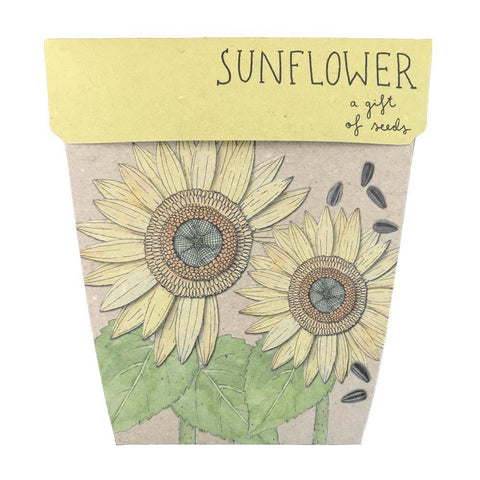 SOW 'N SOW Gift Of Seeds Sunflower 1